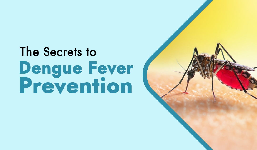 The Secrets to Dengue Fever Prevention